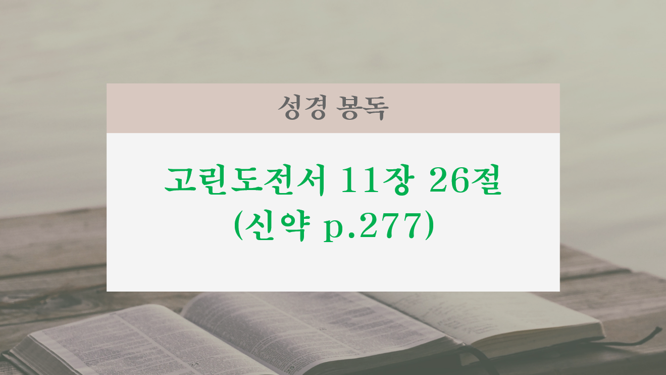 화면 캡처 2025-11-09 101919.png