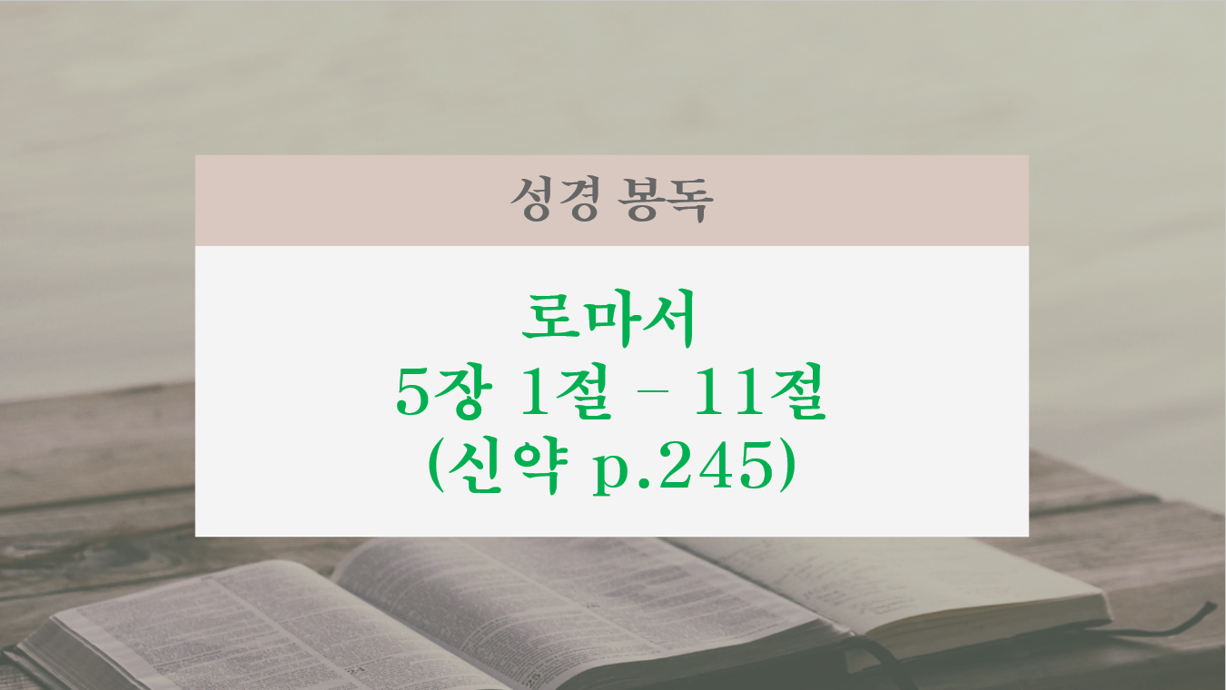 화면 캡처 2026-08-02 104357.png
