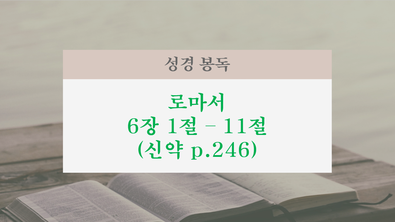 화면 캡처 2026-08-16 104422.png