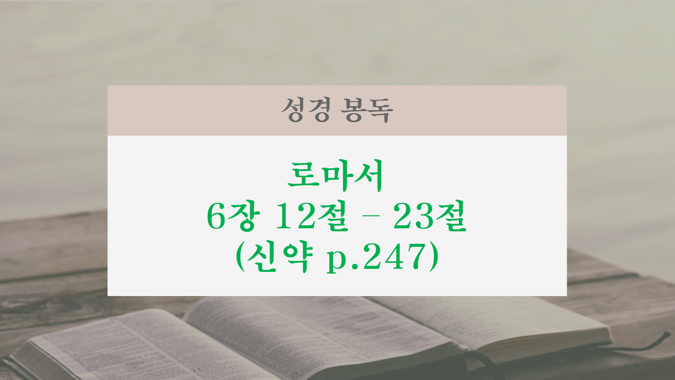 화면 캡처 2026-08-23 103343.png