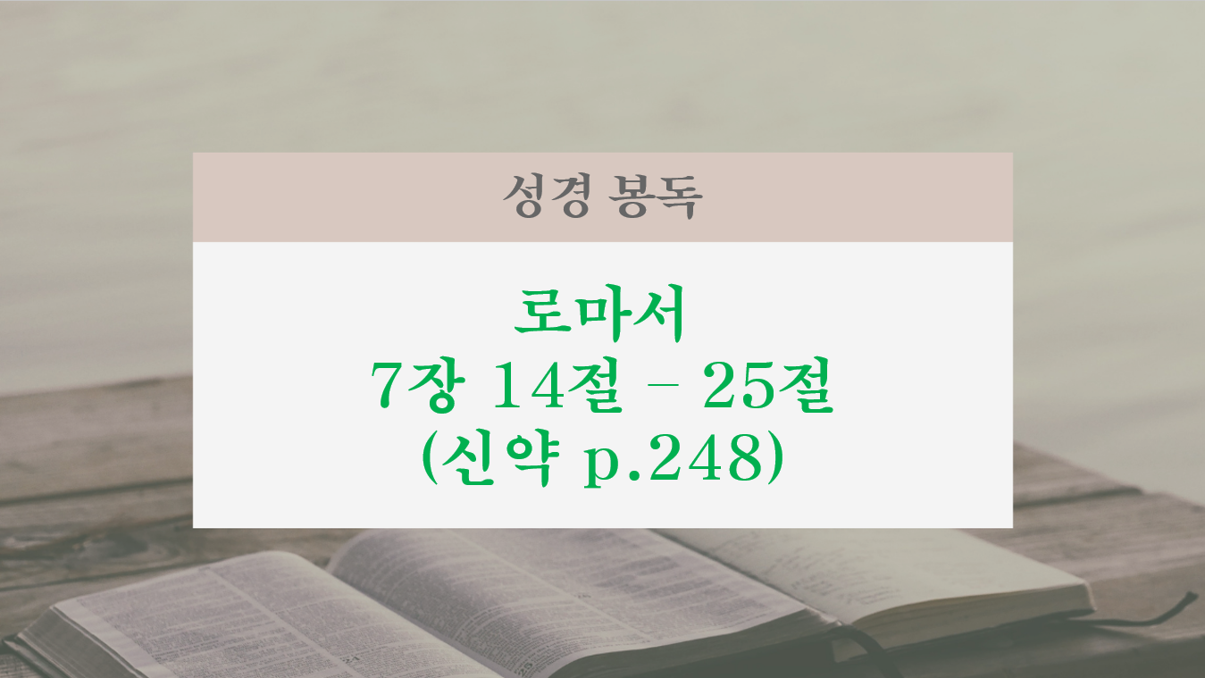 스크린샷 2026-09-13 100212.png