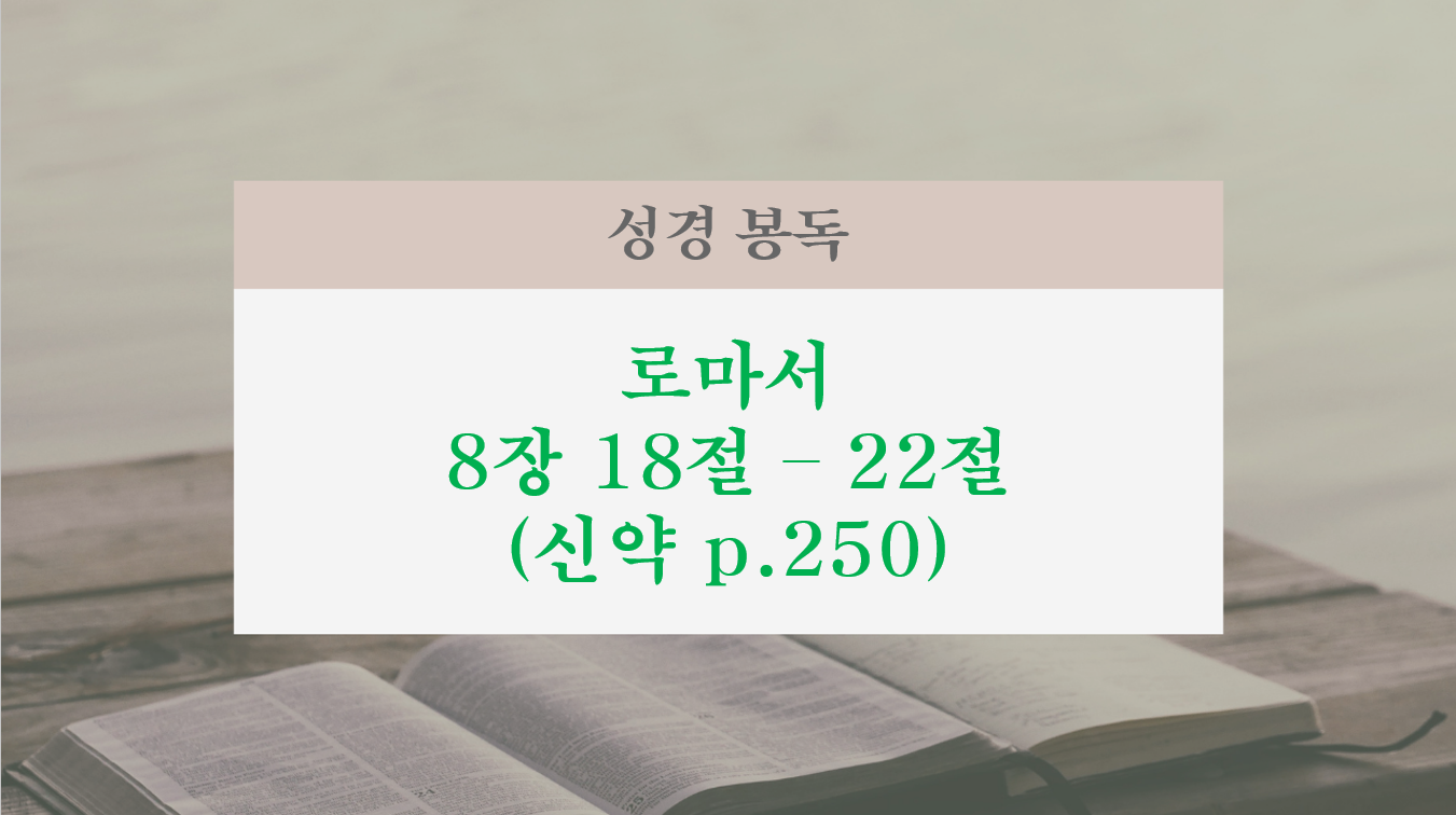 스크린샷 2026-09-27 102729.png
